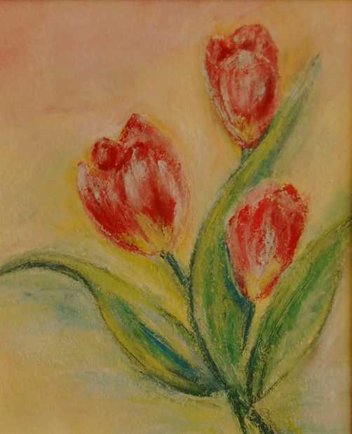 Tulpen 1